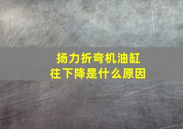 扬力折弯机油缸往下降是什么原因