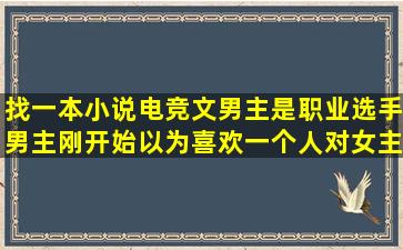 找一本小说,电竞文,男主是职业选手,男主刚开始以为喜欢一个人对女主...