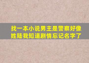 找一本小说,男主是警察,好像姓陆,我知道剧情,忘记名字了