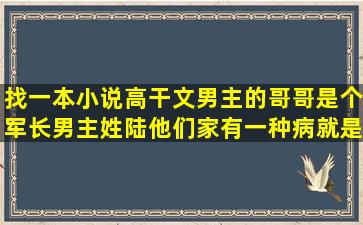 找一本小说,高干文,男主的哥哥是个军长,男主姓陆,他们家有一种病就是...