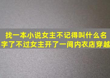 找一本小说。女主不记得叫什么名字了,不过女主开了一间内衣店,穿越