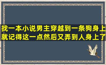 找一本小说男主穿越到一条狗身上。就记得这一点然后又弄到人身上了