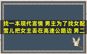 找一本现代言情 男主为了找女配雪儿,把女主丢在高速公路边。 男二...