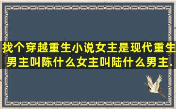 找个穿越重生小说女主是现代重生,男主叫陈什么女主叫陆什么男主...