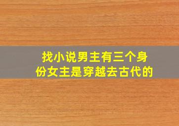 找小说男主有三个身份。女主是穿越去古代的