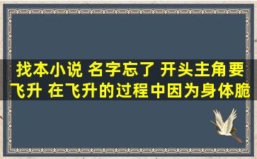 找本小说 名字忘了 开头主角要飞升 在飞升的过程中因为身体脆弱死去了