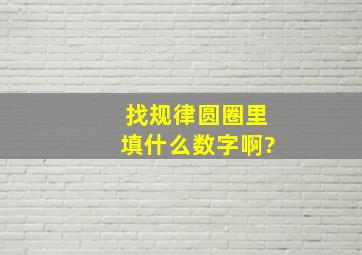 找规律,圆圈里填什么数字啊?