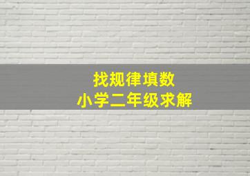 找规律填数 小学二年级求解