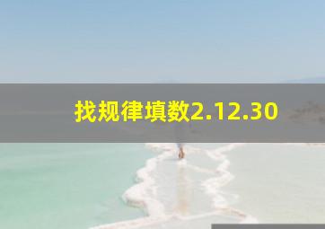 找规律填数2.12.30