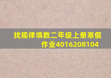 找规律填数二年级上册寒假作业40,16,20,8,10,4,