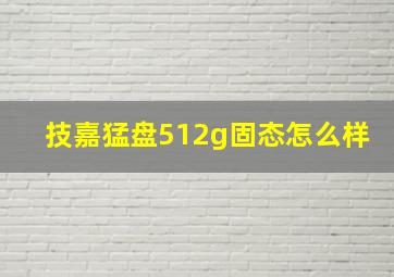 技嘉猛盘512g固态怎么样