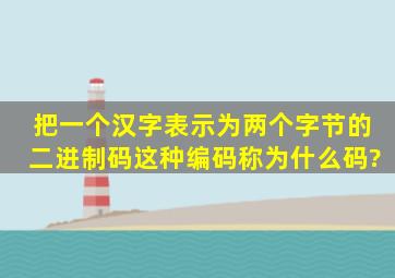 把一个汉字表示为两个字节的二进制码,这种编码称为什么码?