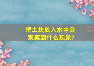 把土块放入水中会观察到什么现象?