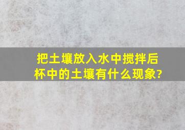 把土壤放入水中搅拌后,杯中的土壤有什么现象?