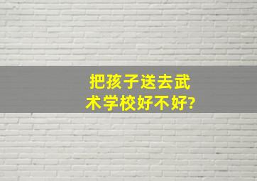 把孩子送去武术学校好不好?