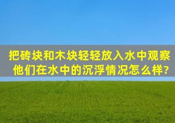 把砖块和木块轻轻放入水中观察他们在水中的沉浮情况怎么样?