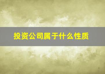 投资公司属于什么性质