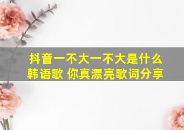 抖音一不大一不大是什么韩语歌 你真漂亮歌词分享