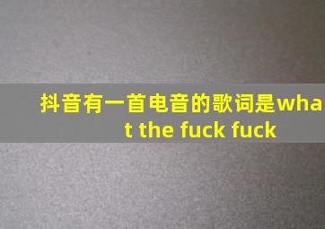 抖音有一首电音的歌词是what the fuck fuck