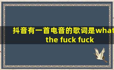 抖音有一首电音的歌词是what the fuck fuck …