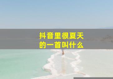 抖音里很夏天的一首叫什么