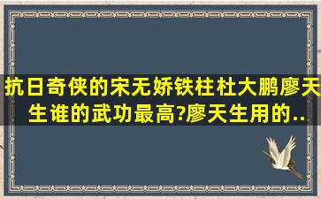 抗日奇侠的宋无娇、铁柱、杜大鹏、廖天生谁的武功最高?廖天生用的...