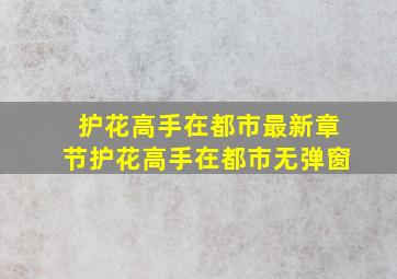 护花高手在都市最新章节护花高手在都市无弹窗