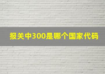 报关中300是哪个国家代码