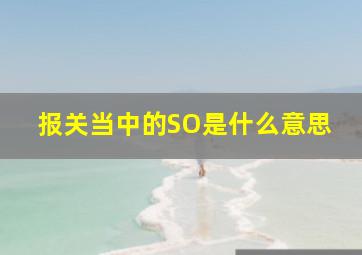 报关当中的SO是什么意思