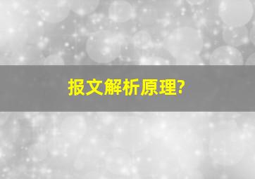 报文解析原理?