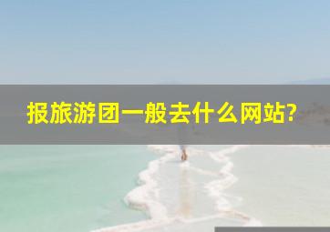 报旅游团一般去什么网站?