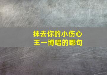 抹去你的小伤心 王一博唱的哪句