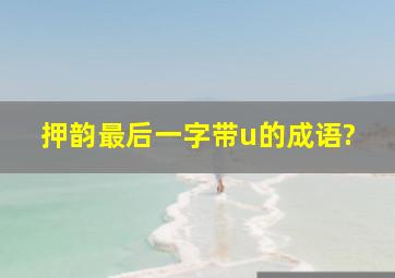 押韵最后一字带u的成语?