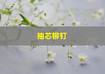 抽芯铆钉