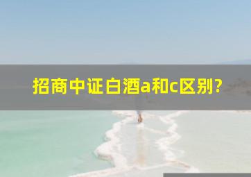 招商中证白酒a和c区别?