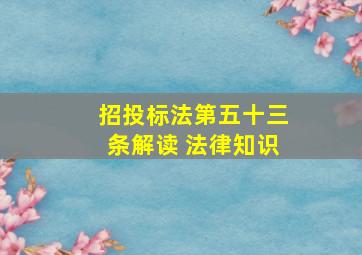 招投标法第五十三条解读 法律知识