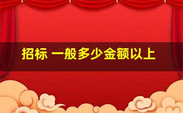 招标 一般多少金额以上