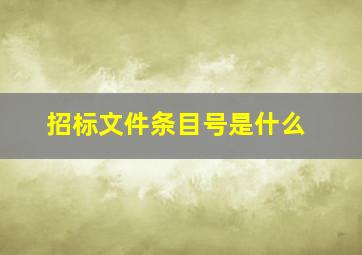 招标文件条目号是什么