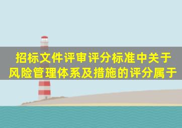 招标文件评审评分标准中关于风险管理体系及措施的评分属于。