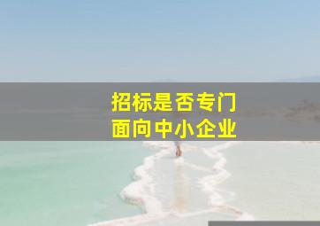 招标是否专门面向中小企业(