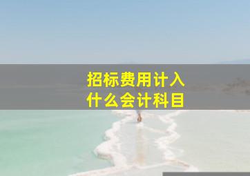 招标费用计入什么会计科目