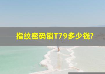 指纹密码锁T79多少钱?