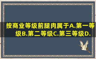 按商业等级,前腿肉属于()。A.第一等级B.第二等级C.第三等级D.第四等级