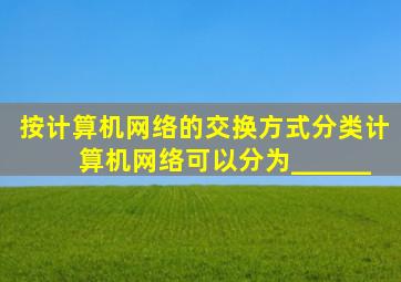 按计算机网络的交换方式分类,计算机网络可以分为______