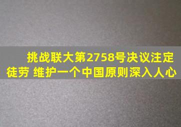 挑战联大第2758号决议注定徒劳 维护一个中国原则深入人心