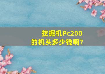 挖掘机Pc200的机头多少钱啊?