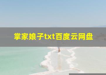 掌家娘子txt百度云网盘