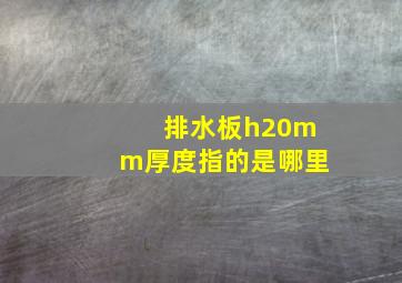 排水板h20mm厚度指的是哪里