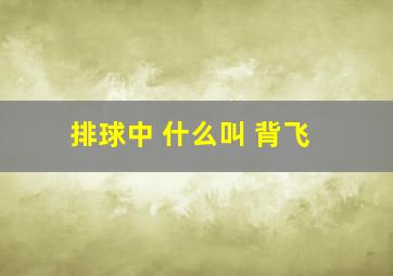 排球中 什么叫 背飞