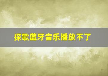 探歌蓝牙音乐播放不了